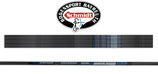 Pfeilschaft Skylon Brixxon 4,2 Carbon