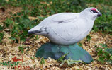 Natur Foam "Lagopède" Schneehuhn