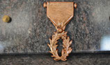 Médaille en résine - Palme académique