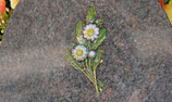 Bronze - Marguerites couleur - FF-BFFT