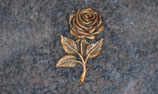 Bronze - Rose - FF-BIOS