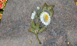 Bronze - Marguerite couleur - FF-BFAL