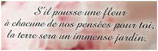 Ajout de texte