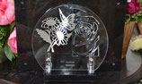 Plaque altu avec papillon en inox - SARalt213-pap-M