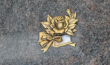 Bronze - Boite et rose - FF-BFCF