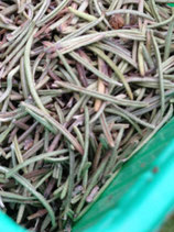 Huile Essentielle DE ROMARIN CINEOLE