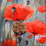 Von der Blüte zur Kapsel, Öl auf Leinwand, 30x30cm