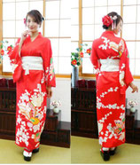ＫＩＭＯＮＯ04/ 業者様割引不可：レディース着物セット 朱蝶（髪飾り、着物、帯、帯紐、扇子、足袋SET）