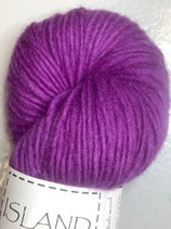 Fuchsia 1/1 vit