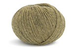 Como Farbe: 70 Farn