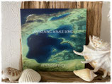AWAKENING~WHALE SONG