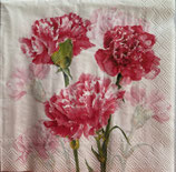 SP小8　F56-1   C1102160 　Timeless Red