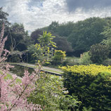 Zomerweek Kloostertuin