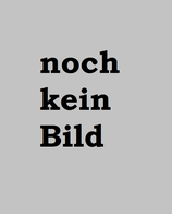 Stolte, Heinz: ›Het vuur der waarheid. De filosoof Constantin Brunner‹ Den Haag 1969, 55 S.