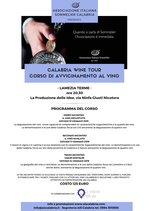 Calabria Wine Tour a Lamezia Terme
