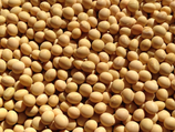乾燥大豆(1kg)