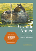 La Grande Année VERSION NUMERIQUE