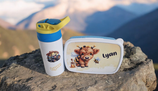 Lunchbox mit Trennwand