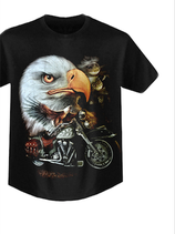 T-shirt-rock-eagle