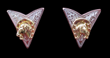 Pointes de col cheval et fer