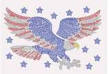 Transfert-aigle-usa