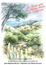 La Ruée vers les chênes dorés de Californie