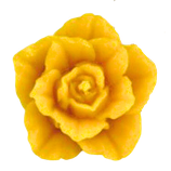 Rosenblüte, klein