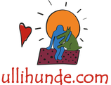 Wege zur Freundschaft - Quick n' Dirty (1-Tagesseminar)