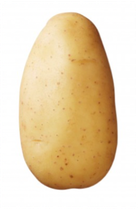 Kartoffel Erika (IP Suisse Standard)