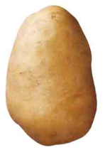 Kartoffel AGRIA (IP Suisse Standard)