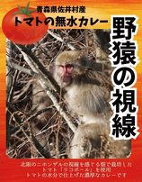 トマトの無水カレー「野猿の視線」