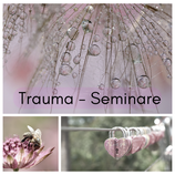 Seminar "Trauma erkennen und verstehen"