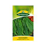 Sauerampfer Samen