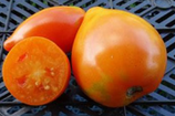 Coeur de Boeuf Bicolor