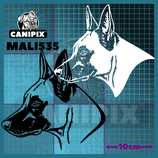 Aufkleber Malinois 535
