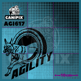 Aufkleber Agility 617