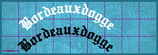 Gebogene Textzeile für die Heckscheibe "Old English" 55cm Bordeauxdogge