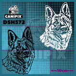 Aufkleber deutscher Schäferhund 572