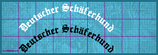 Gebogene Textzeile für die Heckscheibe "Old English" 55cm DSH