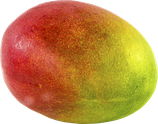 gefriergetrocknete Mango in Stückchen
