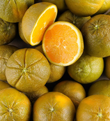 ORANGE CHOCOLAT Espagne