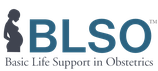 BLSO