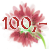Gutschein 100€