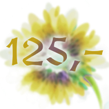 Gutschein 125€ Print@Home