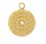 Anhänger Rund (1) - Edelstahl golden - 8mm (500047)