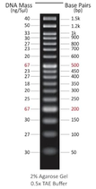 Marcador de peso Molecular para ADN, Azura PureView™ de 50 pb, Marca AZURA GENOMICS