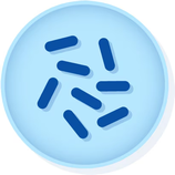 Listeria welshimeri ATCC 35897 MICROBIOLOGICS