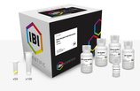 KIT DE EXTRACCIÓN DE ÁCIDOS NUCLEICOS VIRALES, Marca IBI Scientific IB47400 4 Preps |  IB47401 50 Preps | IB47402 100 Preps &  IB47403 300 Preps