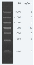 Marcador de Peso Molecular ECON PCR Ladder, 100 – 3000 bp. 100 lanes 1 x 0.5 ml, Marca APEX BIORESEARCH PRODUCTS 19-132