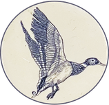 Die fliegende Ente